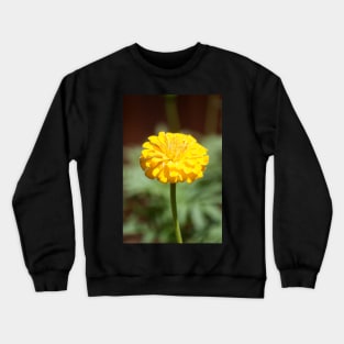 Zinnia Crewneck Sweatshirt